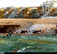 Lone Pine Homestead - Accommodation Port Hedland