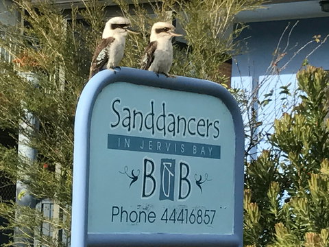 Sanddancers Bed And Breakfast In Jervis Bay - Accommodation Port Hedland 1