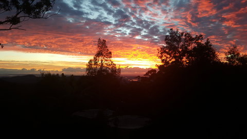 Tamborine Mountain Bed And Breakfast - Accommodation Port Hedland 2