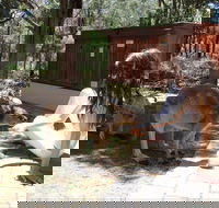 Yelverton Brook Eco Spa Retreat and Conservation Sanctuary - Accommodation Port Hedland