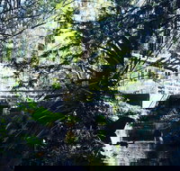 Aldgate Valley Bed and Breakfast - Accommodation Port Hedland