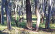 Apsley Falls Campground - thumb 2