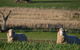 Curringa Farm Accommodation - thumb 1