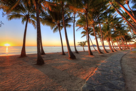 NRMA Palm Cove Holiday Park - Accommodation Port Hedland 0