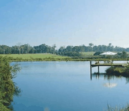 Forest Rise Eco Retreat - Accommodation Port Hedland