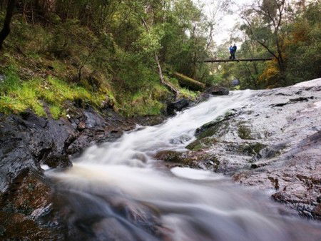 Karri Valley Resort - Accommodation Port Hedland 2