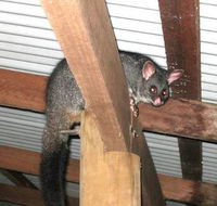 Warren River Resort - Accommodation Port Hedland