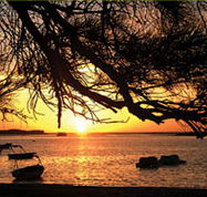 Pelican's Nest - Accommodation Port Hedland