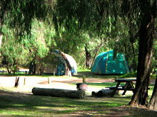 Gracetown Caravan Park - Accommodation Port Hedland 2