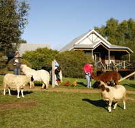 Sunnyhurst Chalets - Accommodation Port Hedland