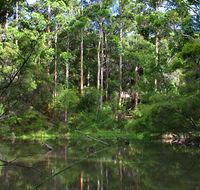 Peppermint Grove Retreat - Accommodation Port Hedland