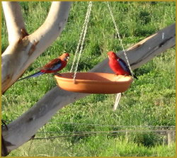 Henlie Park Bed & Breakfast - Accommodation Port Hedland 3