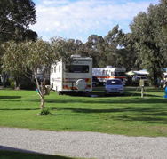 Pinjarra Caravan Park - Accommodation Port Hedland