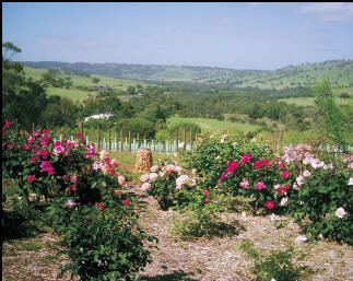 Pecan Hill - Accommodation Port Hedland 1