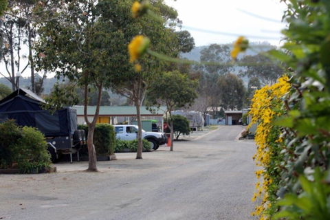 Albury All Seasons Tourist Park - Accommodation Port Hedland 0