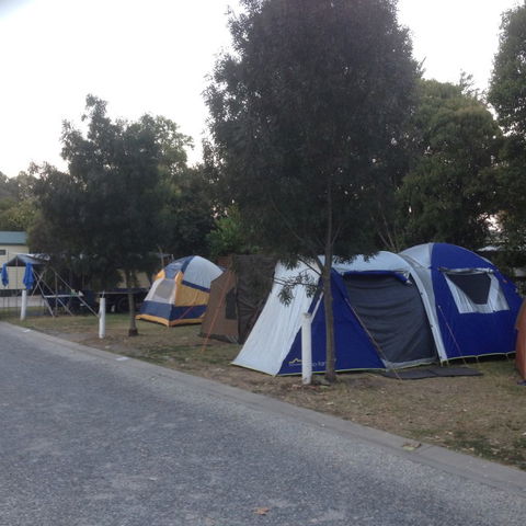 Albury All Seasons Tourist Park - Accommodation Port Hedland 9