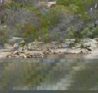 Boondi Rock Camp at Goldfields Woodlands National Park - Accommodation Port Hedland