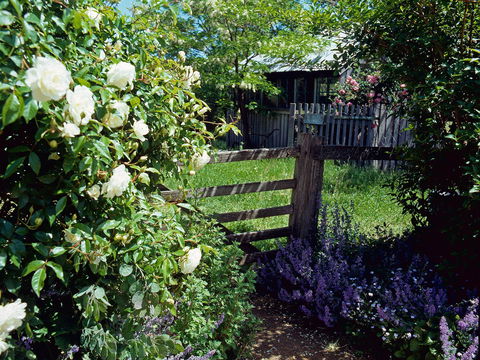 Hamilton's Cottage Collection And Country Gardens - Edwards - Accommodation Port Hedland 0
