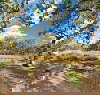 Kings Plains Creek campground - Accommodation Port Hedland