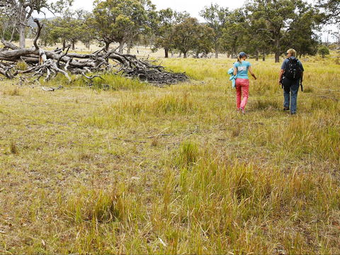 Sundown National Park Camping - Accommodation Port Hedland 2