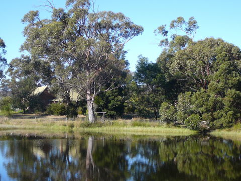 Wind Song Bed And Breakfast - Accommodation Port Hedland 2