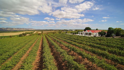1837 Barossa Luxury Vineyard Cottages - Accommodation Port Hedland 0