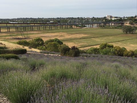 Brayfield Cottage - Accommodation Port Hedland 0