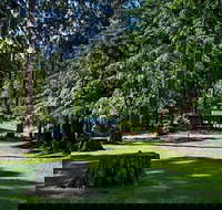 Dingo Tops campground - Accommodation Port Hedland