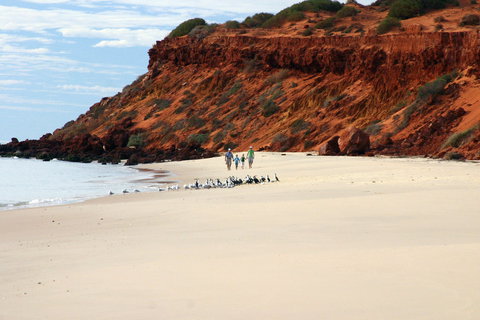 Herald Bight Camp At Francois Peron National Park - Accommodation Port Hedland 0