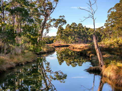 Saintys Creek Cottage - Accommodation Port Hedland 1