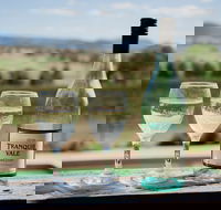 Tranquil Vale Vineyard