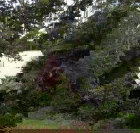 Turkeys Nest Rainforest Cottages Mt Glorious - Accommodation Port Hedland