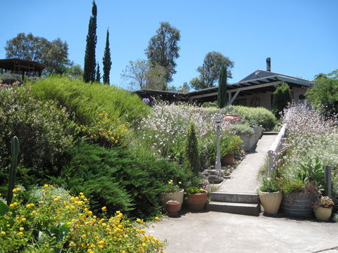 Valley View Cottage Hunter Valley - Accommodation Port Hedland 0