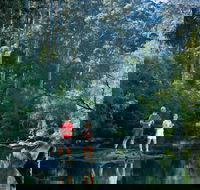 Drafty's Camp at Warren National Park - Accommodation Port Hedland