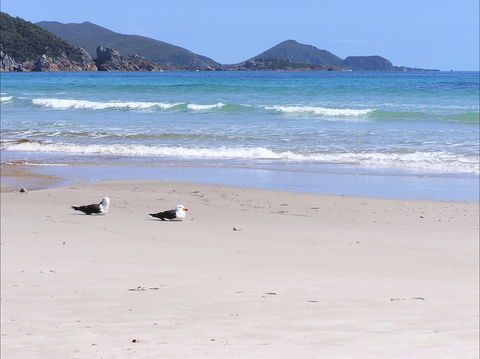 Eagles Rise Tasmania - Accommodation Port Hedland 0