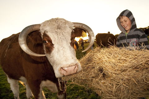 Kangaroobie - Accommodation Port Hedland 2