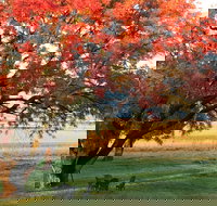 Little Kickabell Country Homestead - Accommodation Port Hedland