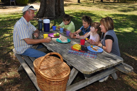 Naracoorte Caves Camping And Accomodation - Accommodation Port Hedland 0