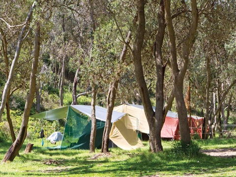 Pebbly Beach Campground - Yuraygir National Park - Accommodation Port Hedland 1