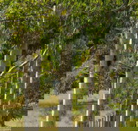 Stringybark Cottages - Accommodation Port Hedland