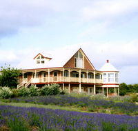 Serendipity Lavender Farm - Accommodation Port Hedland