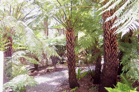 Glenview Retreat - Accommodation Port Hedland 2