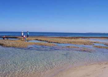 QueenscliffeTourist Park - Accommodation Port Hedland 3