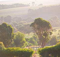 Mackas Farm - Accommodation Port Hedland