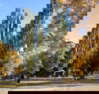 Omeo Caravan Park - Accommodation Port Hedland