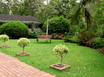 Tall Trees Motel - Accommodation Port Hedland 2