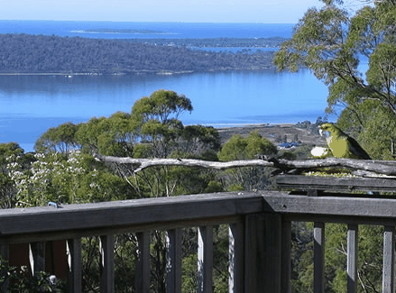Bed in the Treetops - Accommodation Port Hedland