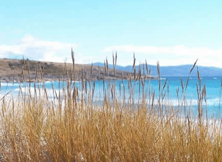 Four Mile Beach TAS Accommodation Port Hedland