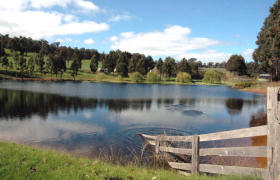 Glenlynn Cottages - Accommodation Port Hedland 0