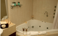 Club Motor Inn - Accommodation Port Hedland 1